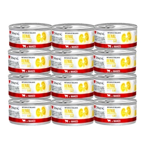 Disugual Veterinary drėgnas kačių maistas RENAL Beef (suaugusiems) 12x85g