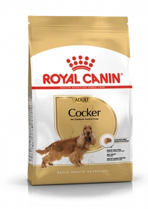 Royal Canin Cocker Adult 12 kg  + STAIGMENA ŠUNUI