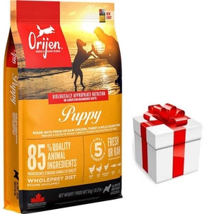 ORIJEN Dog Puppy 6kg + STAIGMENA ŠUNUI