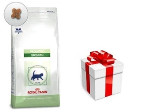 ROYAL CANIN Pediatric Growth 2kg + STAIGMENA KATEI
