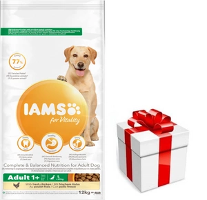 IAMS sausas pašaras Vitality suaugusiems didelių veislių šunims su šviežia vištiena 12kg + STAIGMENA ŠUNUI