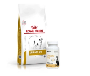 ROYAL CANIN Urinary S/O USD 20 Small Dog 8kg + LAB-V Urinary Dog - Pagalba šunims sergant šlapimo takų infekcija 45 kapsulės