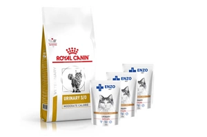 ROYAL CANIN Urinary S/O Moderate Calorie UMC 34 1,5kg + ENZO VET šlapalas su jautiena želė katėms 3x100g