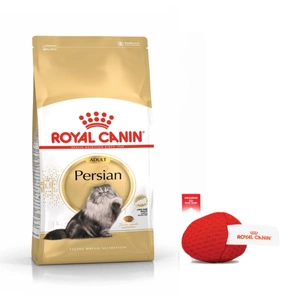 ROYAL CANIN Persian Adult 10 kg + Royal Canin kamuoliukas katėms NEMOKAMAI