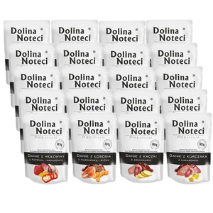 DOLINA NOTECI Dish Mix Flavours 20x300g šlapias maistas šunims