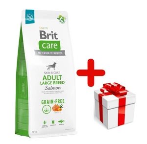 BRIT CARE Dog Grain-free Adult Large Breed Salmon 12kg + STAIGMENA ŠUNUI