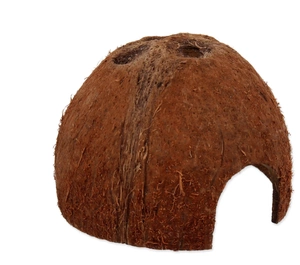 Repti Planet kokoso namelis, M dydis