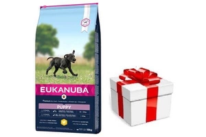 EUKANUBA Puppy&Junior Large Breed 15kg + STAIGMENA ŠUNUI