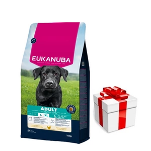EUKANUBA Adult Large Breed Chicken 15kg + Staigmena Šunui