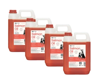 LAB V Lašišų aliejus šunims ir katėms 4x5000ml