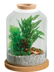 Zolux Akvariumas 12l