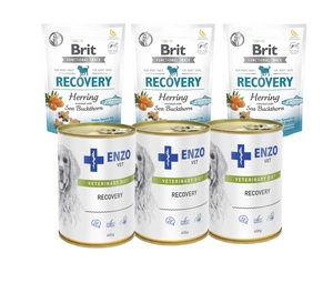 BRIT CARE DOG FUNCTIONAL SNACK RECOVERY HERRING 3x150g + ENZO VET Atkūrimo dieta šunims 3x400g