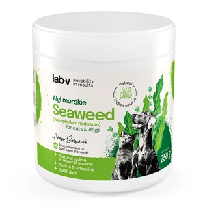 Lab-v Jūros dumbliai - natūralus jodo ir mineralų šaltinis šunims ir katėms 400 g