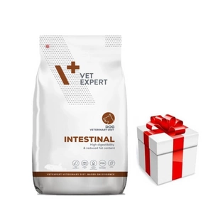 VETEXPERT Dog Intestinal 12kg + Staigmena Šunui