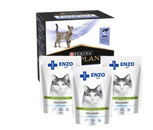 PURINA PVD FortiFlora Cat 30 paketėlių + 3x ENZO VET Recovery katėms 100g