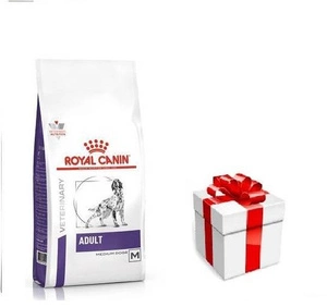 ROYAL CANIN Adult Skin&Digest 4kg + STAIGMENA ŠUNUI
