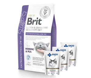 BRIT GF Veterinary Diets Cat Gastrointestinal-Low Fat 5kg + ENZO VET Žarnynas su ėriena padaže katėms 3x100g