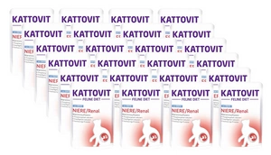 Kattovit Niere/Renal ančių 24x85g paketėlis
