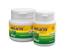 VETFOOD Amylactiv Digest 30 tab.