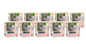 BOZITA Cat Lašiša padaže 10x370g