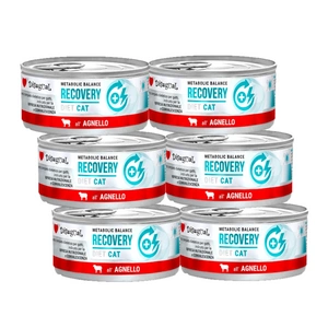 Disugual Veterinary RECOVERY Lamb drėgnas ėrienos ėdalas katėms (suaugusiems) 6x85g