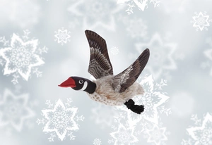 KERBL žaislinė žąsis 38 cm