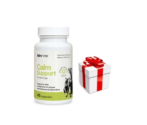 LAB-V Calm Support - streso ir elgesio sutrikimų simptomų palaikymas 45 kapsulės + Staigmena Šunui