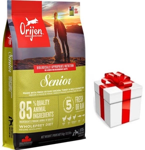 ORIJEN Dog Senior 6 kg + STAIGMENA ŠUNUI