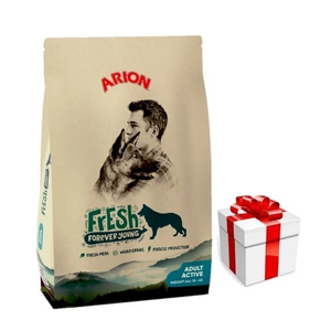 ARION Fresh Adult Active 12kg + Staigmena Šunui