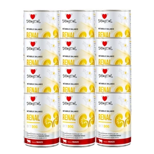 Disugual Veterinary drėgnas šunų maistas RENAL Beef (suaugusiems) 12x400g