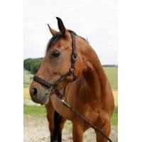 Can-Agri pakinktas Goleygo su adapteriu, juodai-rožinės spalvos, 0 dydis