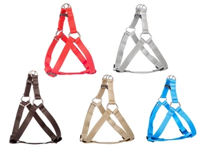 DINGO Mini Fred „Basic” petnešos šunims - dydis 40, plotis 1cm, raudona