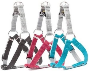 DINGO Petnešos "FRED" Twilight sidabras - Juoda