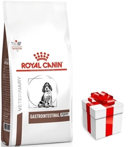 ROYAL CANIN Gastro Intestinal Puppy (Junior)  GIJ29 1kg + STAIGMENA ŠUNUI