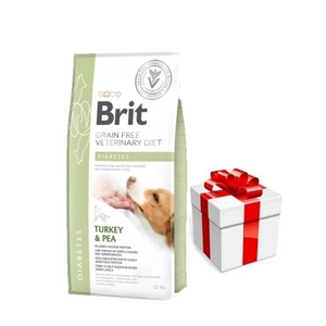 Brit gf veterinary diets dog Diabetes 12kg + Staigmena Šunui