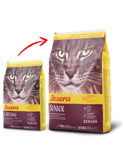 JOSERA Senior 10kg + Staigmena katei