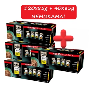 Sheba Delicacy Poultry Jelly flavours - drėgnas kačių ėdalas 120x85g + 40x85g NEMOKAMAI