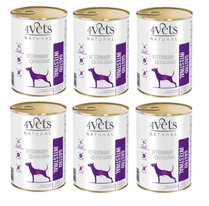 DOLINA NOTECI 4Vets šunims virškinimo traktas 6x400g