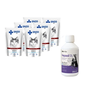 ENZO VET Hepatinis paukštienos paštetas katėms 6x100g + Lab-v Hepasil Dog & Cat preparatas šunų ir kačių kepenų veiklai gerinti 250 ml