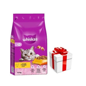 WHISKAS Adult 3,8 kg - sausas ėdalas suaugusioms katėms su gardžia vištiena + Staigmena katei