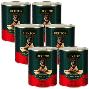 Hektor 6x1240g Jautiena