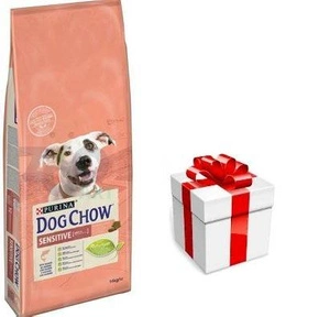 PURINA Dog Chow Adult Sensitive Salmon 14kg + STAIGMENA ŠUNUI