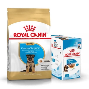 ROYAL CANIN German Shepherd Puppy 12 kg + drėgnas maistas NEMOKAMAI!