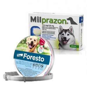 MILPRAZON ŠUNIMS 12,5mg/125 mg, 4 tabl. šunims + ELANCO Foresto Antkaklis šunims virš 8kg