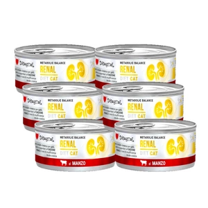 Disugual Veterinary drėgnas kačių maistas RENAL Beef (suaugusiems) 6x85g