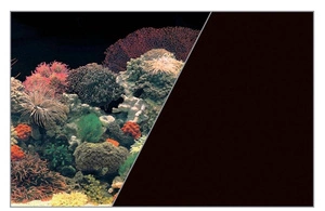 ZOLUX akvariumo fonas 50 cm x 15 m "Coral Reef Black