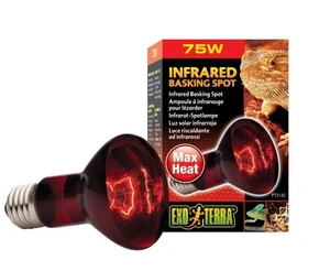 EXO-TERRA ŠILDYMO LEMPUTĖ 75W INFRAUDONOJI ŠILUMA