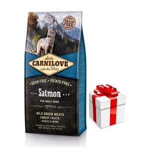 Carnilove Lašiša suaugusiems 12kg + Staigmena Šunui
