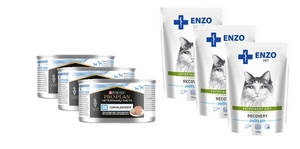 PURINA Veterinary PVD CN Convalescence 3x195g skardinė + ENZO VET Recovery katėms 3x100g