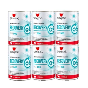 Disugual Veterinary RECOVERY Lamb drėgnas ėrienos ėdalas šunims (suaugusiems) 6x400g